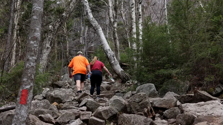 Backpacker Dies After Medical Emergency During Hike