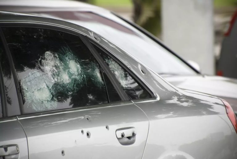 Four Children Shot in Stolen Car