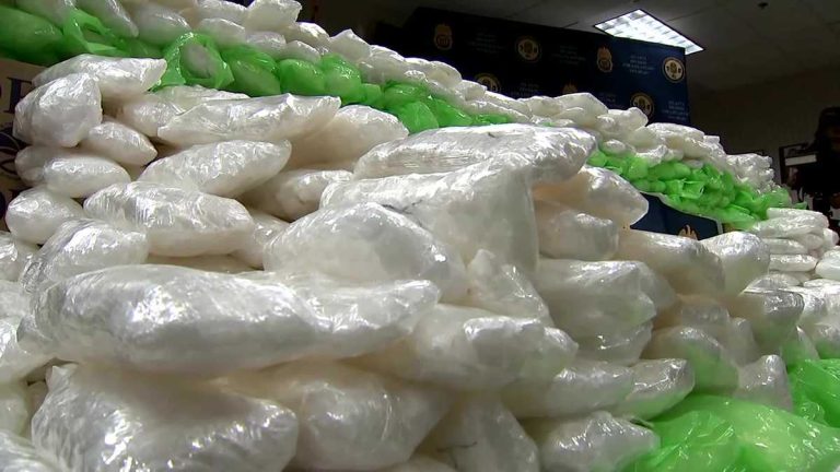 More Than 600 Pounds of Meth Discovered Hidden in Celery Shipment