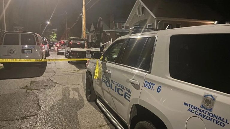 4-Year-Old St. Louis Girl Dies in Shooting at Home