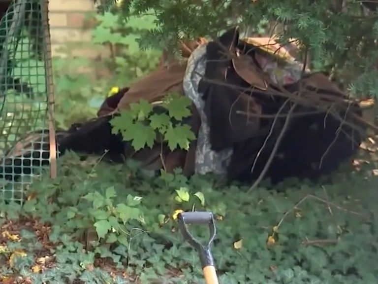 Human Remains Found in Suitcase on Long Island