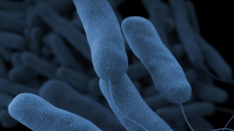Legionnaires’ Disease Outbreak Claims 3 Lives