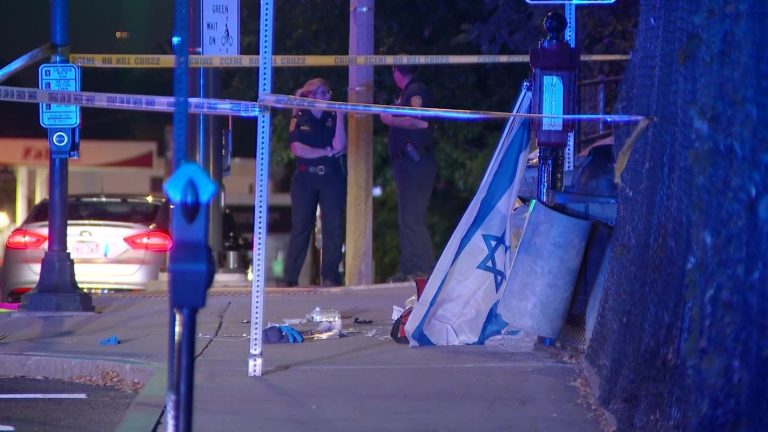 Man Shot During Confrontation at Pro-Israel Demonstration