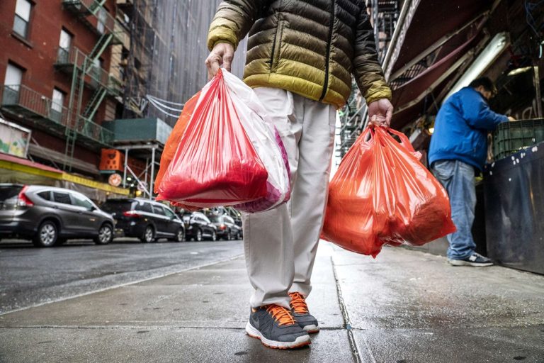 State Implements Ban on Plastic Shopping Bags at Grocery Stores