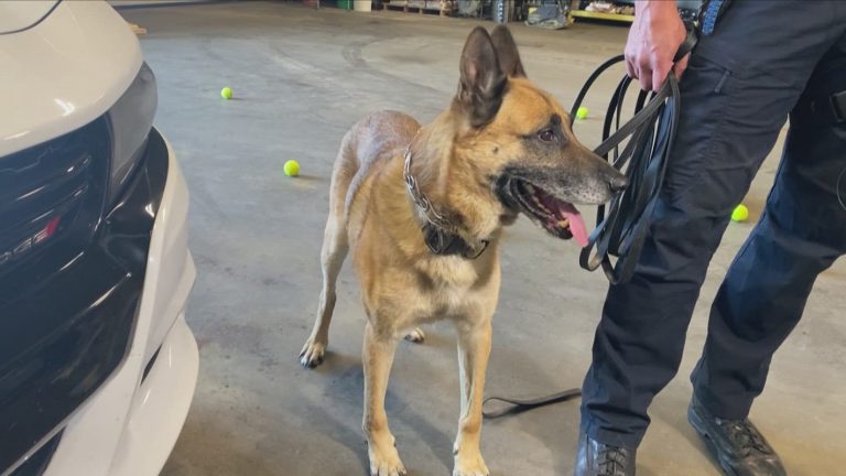 Hero K-9 Apache Retires After 8 Years of Service