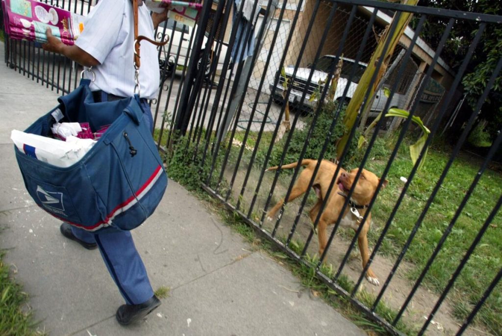 Mail Delivery Halted in Town Following Attack
