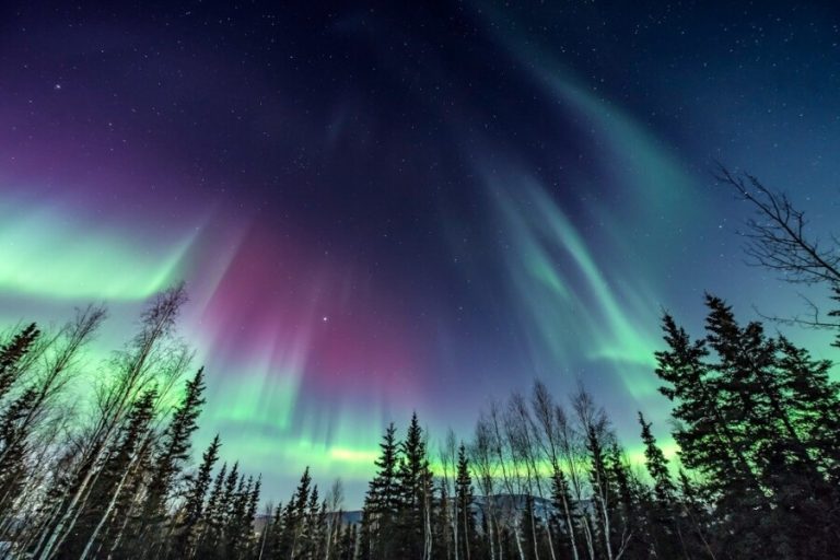 How To See The Northern Lights This Year