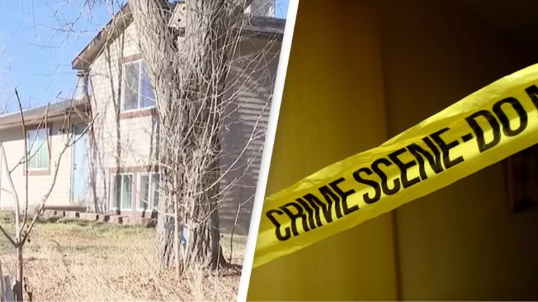 Remains of Missing 16-Year-Old Girl Discovered in Freezer