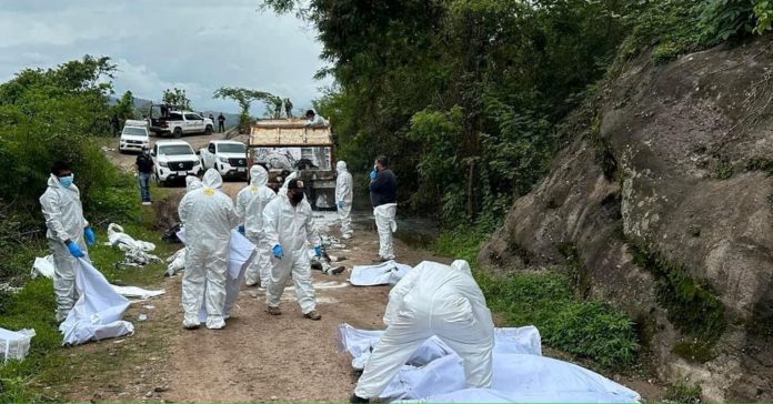 11 Bodies Discovered Near Highway in Southern Mexico Amid Ongoing Cartel Violence