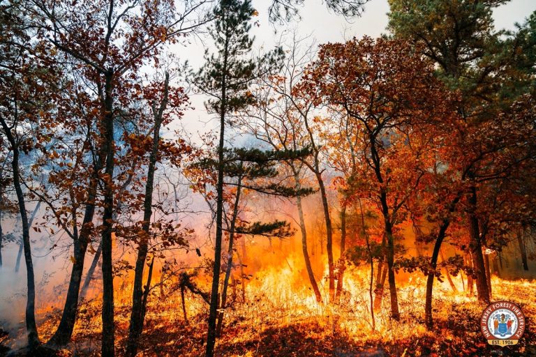 14-Year-Old Charged with Arson in New Jersey Wildfire Amid Regional Drought