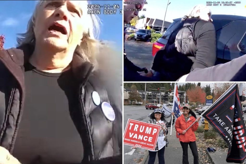 82-Year-Old Woman Arrested for Suspected Hate Crime After Confrontation with Trump Supporters