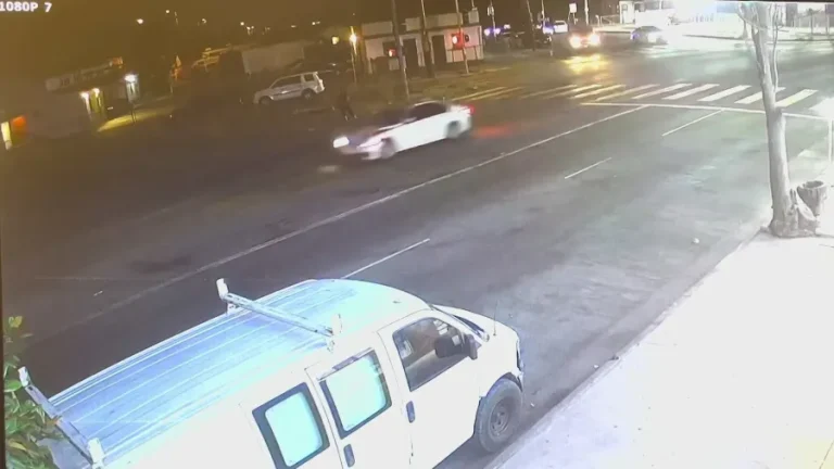Family Pleads for Justice After Fatal Los Angeles hit-and-run