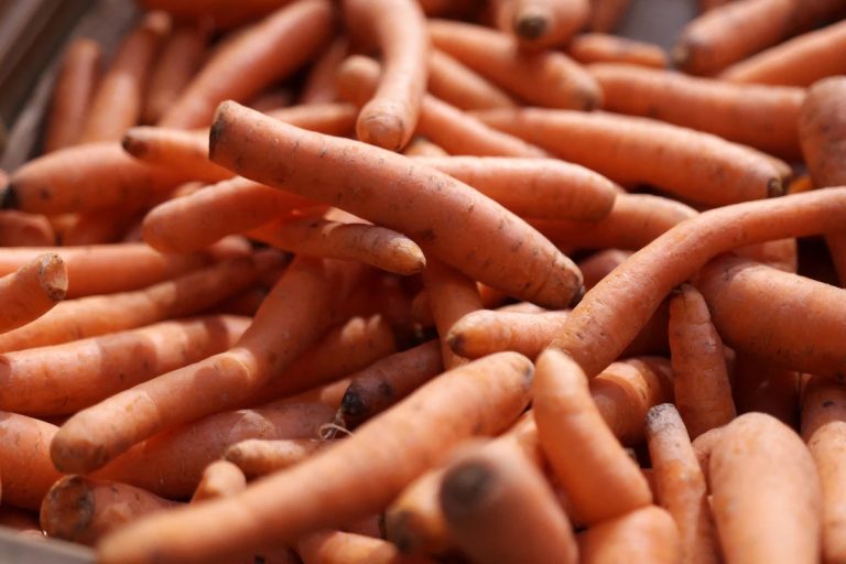 New E. Coli Outbreak Linked to Recalled Organic Carrots