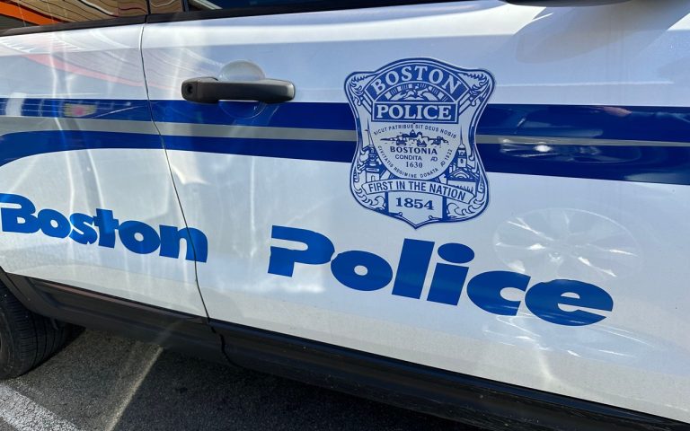 Woman Killed in Boston Dog Attack; Two Officers Injured