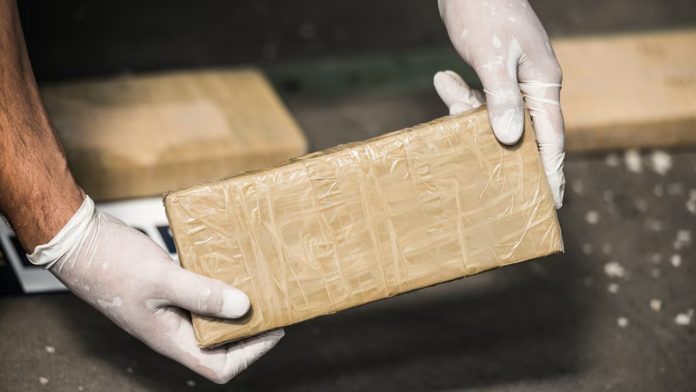 Border Patrol Agents Find $1.1 Million Worth of Cocaine Near Canadian Border