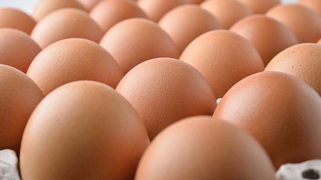 FDA Issues Class 1 Recall for Costco Eggs Due to Salmonella Risk