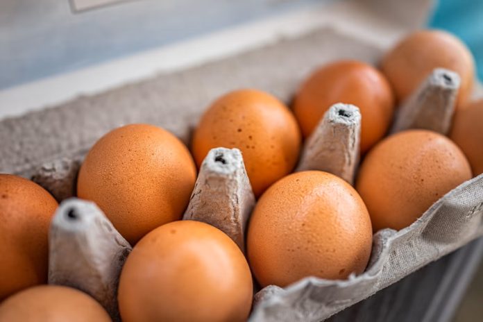 FDA Issues Class 1 Recall for Costco Eggs Due to Salmonella Risk