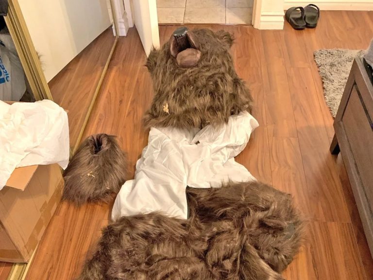 Los Angeles Residents Arrested for Staging Bear Attacks on Luxury Vehicles