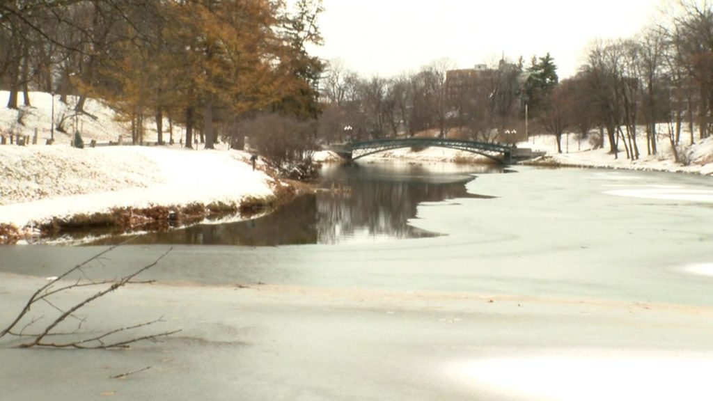 Two Children Die After Falling Through Ice in Albany