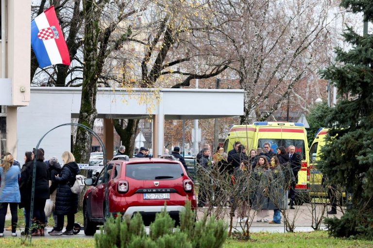 Student Injures Teacher and Students in Knife Attack at Zagreb School