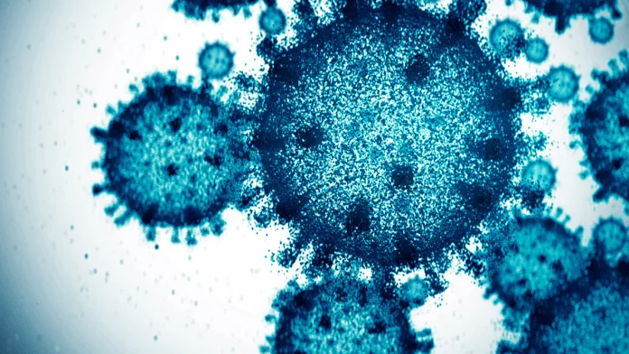 Spike in COVID-19 Cases